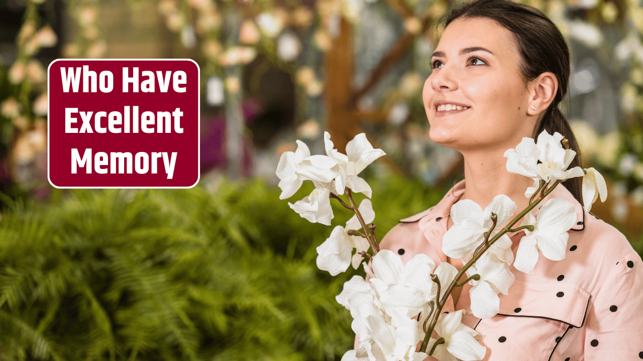 Top 3 Zodiac Signs Who Have Excellent Memory
